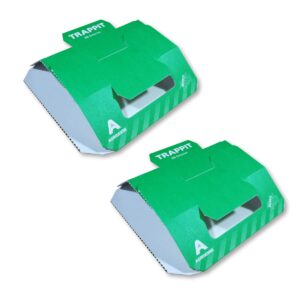 trappit ágyi poloska csapda